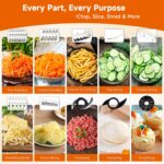 Davivy 7-Cup Food Processor with Built-in Storage Drawer | 600W Motor, 10-Blade Set for French Fries, Wavy Slicing, Dough Kneading | 3-Speed Compact Chopper for Home Kitchen Meal Prep, Black - Image 5