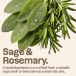 ATTITUDE Volumizing Shampoo for Fine, Thin & Flat Hair, Essential Oils, EWG Verified, Vegan Clean Beauty Hair Care, Sage & Rosemary, 16 Fl Oz - Image 4