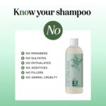 Clarifying Shampoo for Oily Hair and Scalp - Degrease Deep Cleansing Shampoo Build Up Remover with Rosemary Oil for Greasy Hair & Scalp - Vegan Color Safe Sulfate Paraben & Cruelty Free (12 Fl Oz) - Image 5