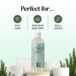 Clarifying Shampoo for Oily Hair and Scalp - Degrease Deep Cleansing Shampoo Build Up Remover with Rosemary Oil for Greasy Hair & Scalp - Vegan Color Safe Sulfate Paraben & Cruelty Free (12 Fl Oz) - Image 8