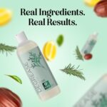 Clarifying Shampoo for Oily Hair and Scalp - Degrease Deep Cleansing Shampoo Build Up Remover with Rosemary Oil for Greasy Hair & Scalp - Vegan Color Safe Sulfate Paraben & Cruelty Free (12 Fl Oz) - Image 11