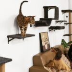 FUKUMARU Cat Wall Shelves, Stable & Safe 5 in 1 Cat Walls Furniture Set, Wooden Kitten Climbing Wall with Scratching Post for 16 Inch Drywall - Gray - Image 5