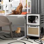 TaoHFE Cat Hideaway Modern Cats Furniture for Living Room Cat Houses for Indoor Cats with Scratching Pad & Soft Cushion, Cats Beds for Indoor TV Design end Table, Black - Image 3