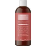 Argan Oil Shampoo for Dry Hair - Sulfate Free Shampoo for Damaged Hair and Frizz with Argan Oil for Hair - Volumizing Shampoo for Hair Shine and Volume Featuring Ultra Moisturizing Natural Oils - Image 3