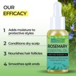 Orientfashion Organics Rosemary Hair Oil for Hair, Pure Natural Rosemary Essential Oils - Damaged Hair Care & Split Ends & Dry Scalp Treatment (2 Fl Oz, Rosemary Oil) - Image 3