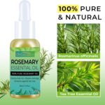 Orientfashion Organics Rosemary Hair Oil for Hair, Pure Natural Rosemary Essential Oils - Damaged Hair Care & Split Ends & Dry Scalp Treatment (2 Fl Oz, Rosemary Oil) - Image 4