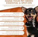 Dermoscent Essential 6 spot-on - Dog Skin Care for Dandruff & Allergy Relief with Vitamin E Oil - Anti Itch for Dogs - Dog & Small Mammals 0-10 kg - 4 Pipettes of 0.6 ml - Image 6