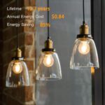 TJOY 12 Pack A19 Vintage LED Edison Bulbs, Dimmable, 60W Equivalent, High Brightness 2700K Warm White, 8W E26 Standard Base, 800 Lumens, CRI80+, Clear Glass Filament Bulb for Home, Farmhouse - Image 5