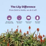 Lily of the Desert Aloe Vera Juice - Organic, Preservative-Free Inner Fillet Aloe Vera Drink with Natural Digestive Enzymes for Gut Health, Stomach Relief, Wellness, Glowing Skin, 128 Fl Oz - Image 5