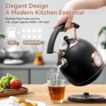 Rasonic Retro Electric Kettle Stainless Steel, 1.8L Tea Water Boiler, 1500W Fast Quiet Boil, Temperature Gauge, Auto Shut-Off, Boil-Dry Protection, Matt Black and Rose Gold - Image 3