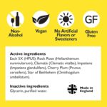 Bach RESCUE Remedy Dropper 20mL - Pack of 2 - Natural Stress Relief, Homeopathic Flower Essence, Vegan, Gluten & Sugar-Free, Non-Habit Forming (Non-Alcohol Formula) - Image 3