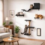 5-in-1 Cat Wall Shelves for Indoor Cats, Wall Mounted Cat Furniture with Bed, Cave, Scratching Post & Perch, Multi-Level Cat Climbing Wall, Space Saving Floating Cat Shelves (Natural Wood Darkgrey) - Image 2