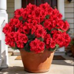 Artificial Flowers for Outdoors, 6 Bundles Realistic Silk Fake Red Geraniums, Faux Plastic Flowers for Outdoor Planters, Hanging Baskets, Window Boxes, Porch, Patio Decor - Image 2