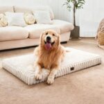 Dog Beds for Large Sized Dog, Orthopedic Pet Bed with Waterproof Lining, Soft Short Plush Surface & Egg Crate Foam, Machine Washable Pet Bed with Removable Cover & Anti Slip Bottom - Image 2