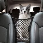 Dog Car Net Barrier for SUV， Upgraded Dog Travel Accessory with Organizers and Storage, Separates Pets from Passengers for Safely, organizes Essentials, Makes Trips Easier. - Image 2