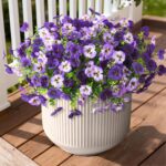 INQCMY Fake Artificial Pansy Flowers for Outdoor, Faux Silk Pansies Flower 12 Pcs Spring Summer Decoration, UV Resistant Fake Plants for Outside Planter Porch Yard Patio Home Decor(Double Purple) - Image 2