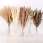 N&T NETING Dried Pampas Grass Decor- White Pampas Grass, Brown Pampas, Bunny Tail, Reed, Fluffy Dried Pompas Grass Flower for Home Wedding Table Vase Boho Modern Decor, 75Pcs - Image 2