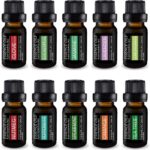 Pure Daily Care Aromatherapy Top 10 Essential Oil Set – Therapeutic Grade Single Ingredient Oils – Uplift Mind, Body and Spirit – 10 x 10 Ml Bottles – No Fillers & No Additives - Image 2