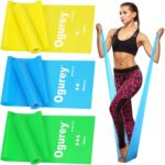 Resistance Bands, Professional Exercise Bands, Physical Therapy Bands for Strength Training, Yoga, Pilates, Stretching, Recovery, Stretch Elastic Band for Working Out, Workout Bands for Home Gym - Image 2