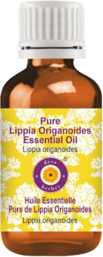 dève herbes Lippia Origanoides Essential Oil (Lippia origanoides) Pure | Non-Sticky | Non-Greasy | Lightweight | Men & Women | All Skin Types | Steam Distilled 5ml (0.16 oz) - Image 2